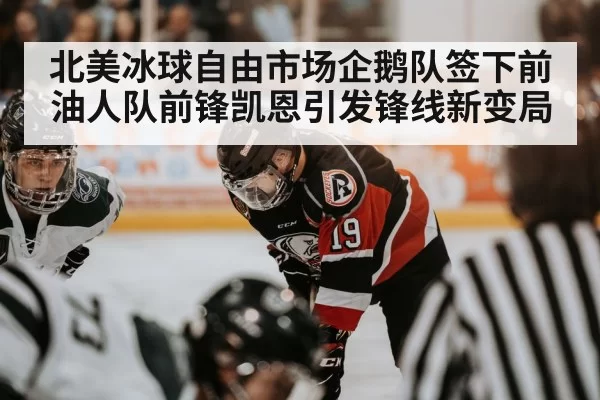 北美冰球自由市场企鹅队签下前油人队前锋凯恩引发锋线新变局